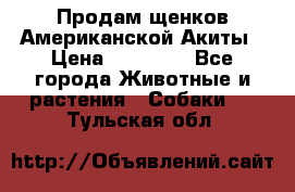 Продам щенков Американской Акиты › Цена ­ 25 000 - Все города Животные и растения » Собаки   . Тульская обл.